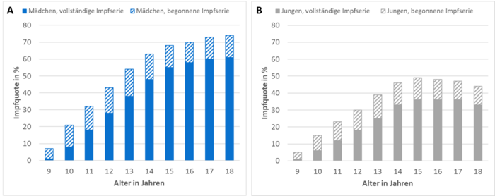 HPV-Impfquoten bei Mädchen (A) und Jungen (B) nach Alter im Jahr 2024. Altersabhängige HPV-Impfquoten bei Mädchen und Jungen in Deutschland im Jahr 2024.