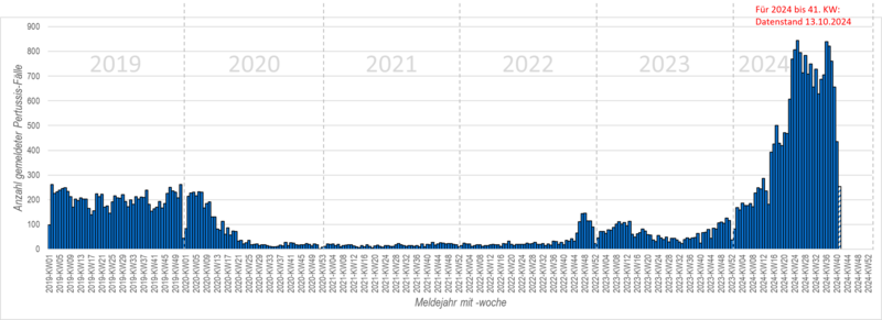 Säulendiagramm der wöchentlichen Meldungen von Keuchhusten in den Jahren 2019, 2020, 2021, 2022, 2023 und 2024