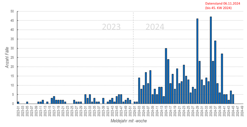 Säulendiagramm der wöchentlichen Masernmeldungen in den Jahren 2023 und 2024